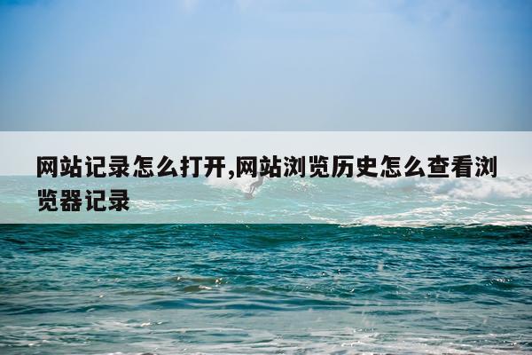 网站记录怎么打开,网站浏览历史怎么查看浏览器记录