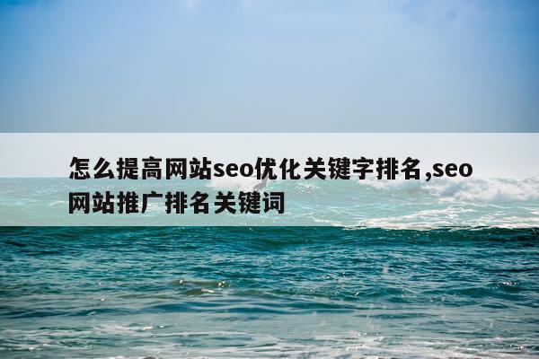 怎么提高网站seo优化关键字排名,seo网站推广排名关键词