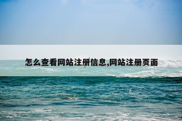 怎么查看网站注册信息,网站注册页面