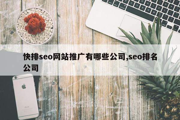 快排seo网站推广有哪些公司,seo排名公司