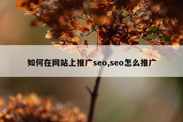 如何在网站上推广seo,seo怎么推广