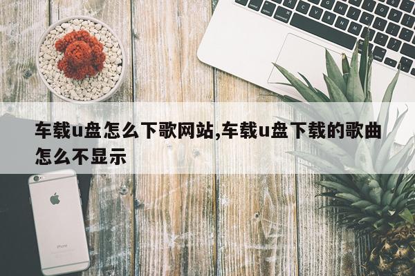 车载u盘怎么下歌网站,车载u盘下载的歌曲怎么不显示