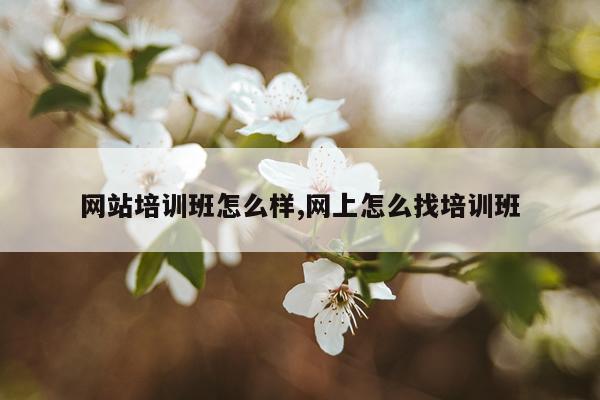 网站培训班怎么样,网上怎么找培训班