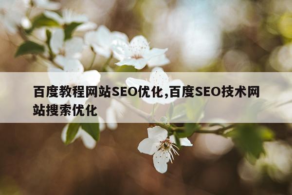 百度教程网站SEO优化,百度SEO技术网站搜索优化