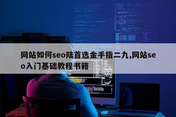 网站如何seo陆首选金手指二九,网站seo入门基础教程书籍