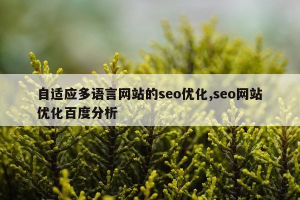 自适应多语言网站的seo优化,seo网站优化百度分析