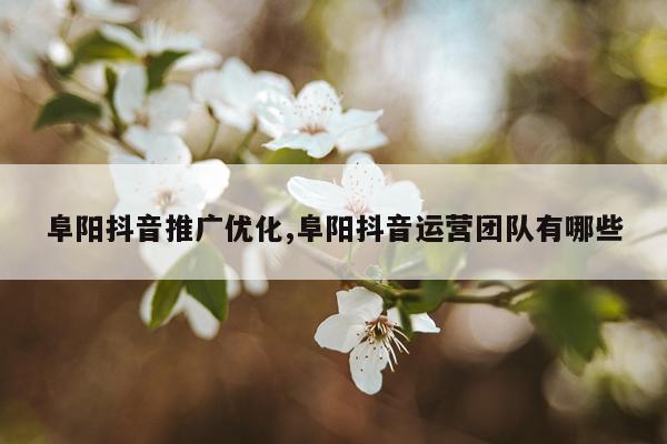 阜阳抖音推广优化,阜阳抖音运营团队有哪些