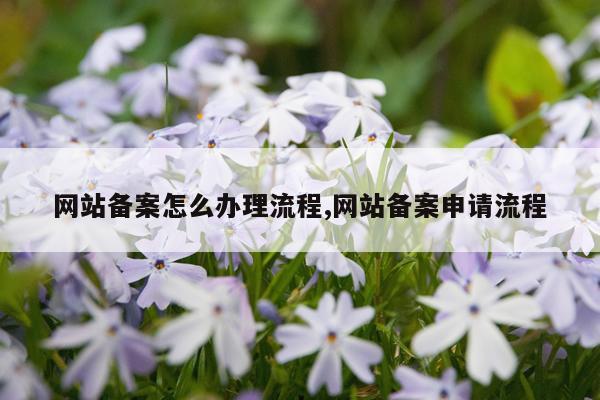 网站备案怎么办理流程,网站备案申请流程