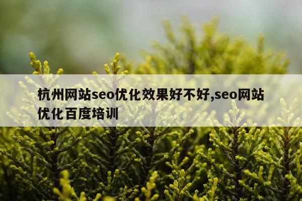 杭州网站seo优化效果好不好,seo网站优化百度培训