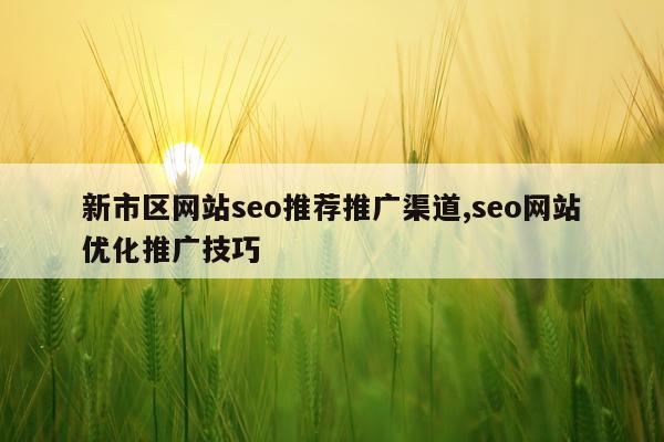 新市区网站seo推荐推广渠道,seo网站优化推广技巧