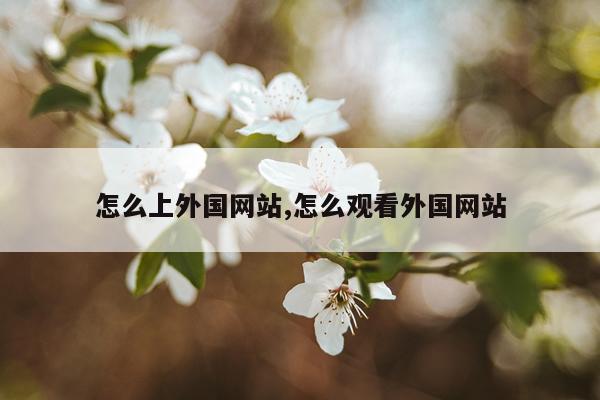 怎么上外国网站,怎么观看外国网站