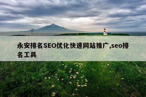 永安排名SEO优化快速网站推广,seo排名工具