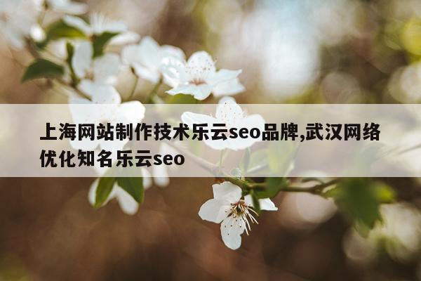 上海网站制作技术乐云seo品牌,武汉网络优化知名乐云seo