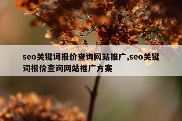 seo关键词报价查询网站推广,seo关键词报价查询网站推广方案