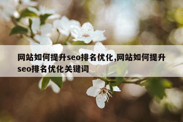 网站如何提升seo排名优化,网站如何提升seo排名优化关键词