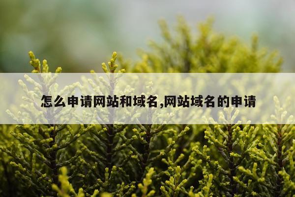 怎么申请网站和域名,网站域名的申请