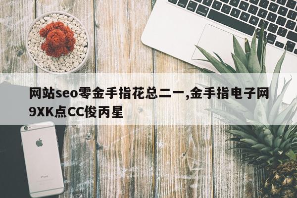 网站seo零金手指花总二一,金手指电子网9XK点CC俊丙星