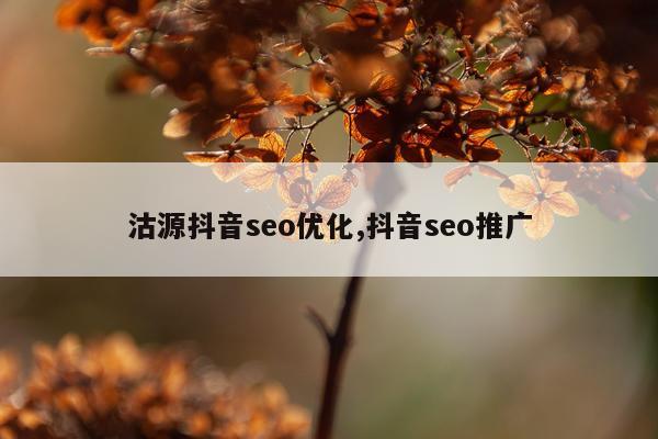 沽源抖音seo优化,抖音seo推广