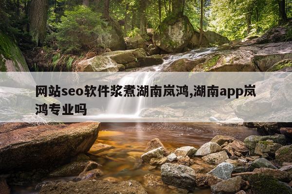 网站seo软件浆煮湖南岚鸿,湖南app岚鸿专业吗