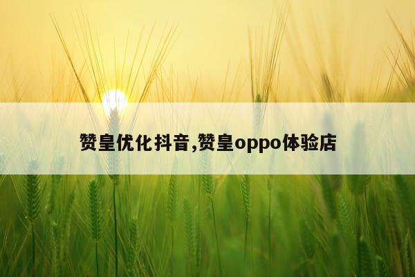 赞皇优化抖音,赞皇oppo体验店