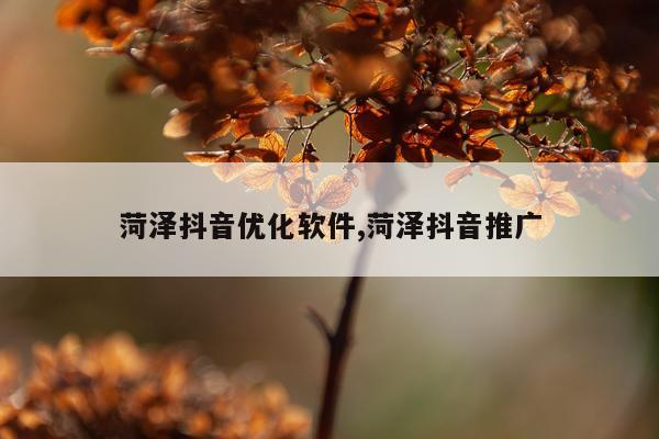 菏泽抖音优化软件,菏泽抖音推广
