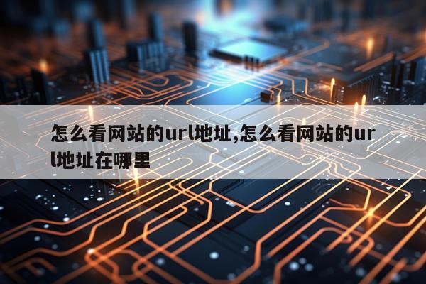 怎么看网站的url地址,怎么看网站的url地址在哪里