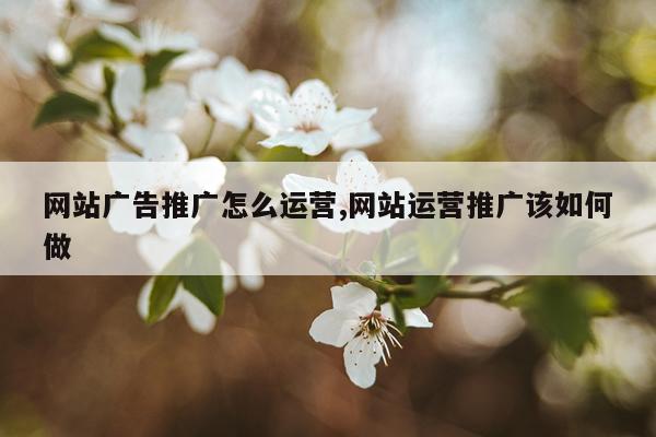 网站广告推广怎么运营,网站运营推广该如何做