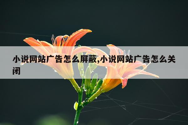 小说网站广告怎么屏蔽,小说网站广告怎么关闭