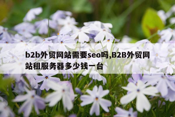 b2b外贸网站需要seo吗,B2B外贸网站租服务器多少钱一台