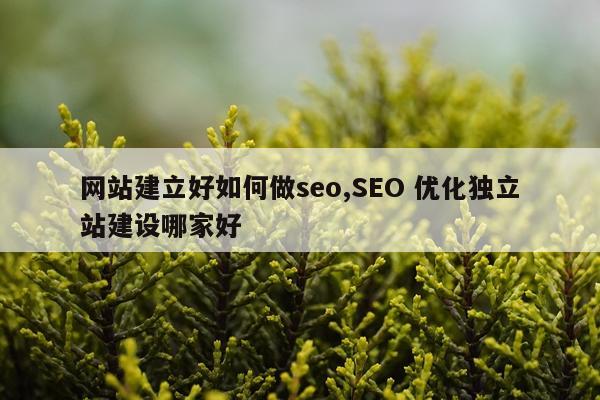 网站建立好如何做seo,SEO 优化独立站建设哪家好