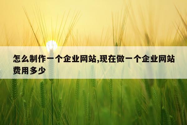 怎么制作一个企业网站,现在做一个企业网站费用多少
