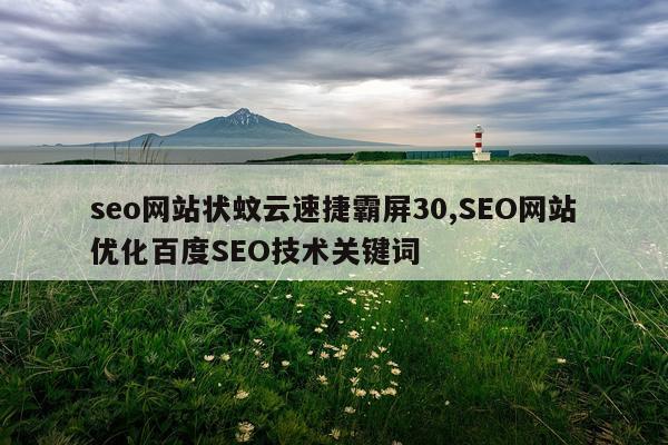 seo网站状蚊云速捷霸屏30,SEO网站优化百度SEO技术关键词