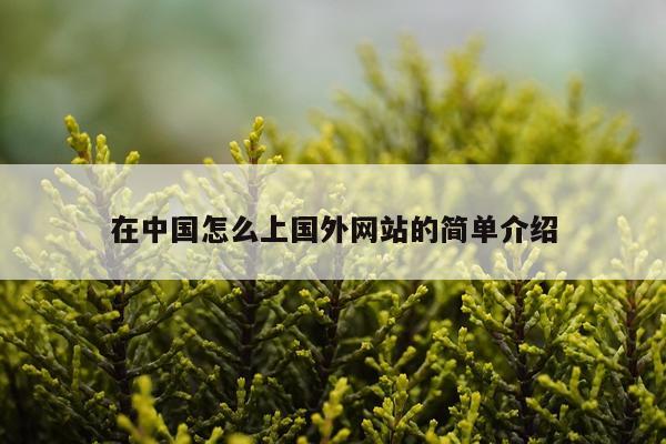 在中国怎么上国外网站的简单介绍