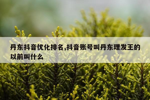 丹东抖音优化排名,抖音账号叫丹东理发王的以前叫什么