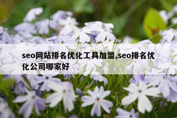 seo网站排名优化工具加盟,seo排名优化公司哪家好