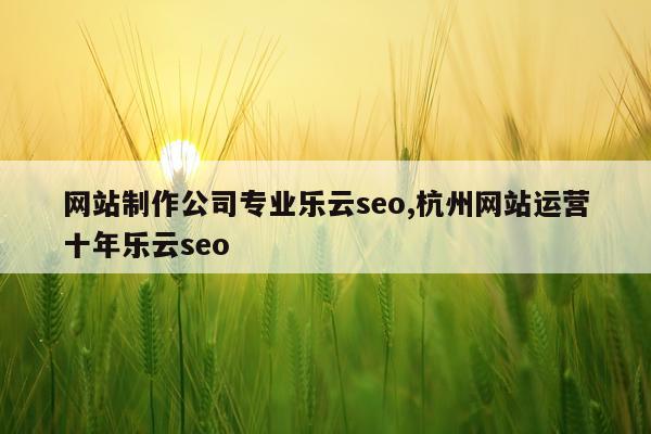网站制作公司专业乐云seo,杭州网站运营十年乐云seo