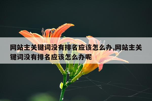 网站主关键词没有排名应该怎么办,网站主关键词没有排名应该怎么办呢