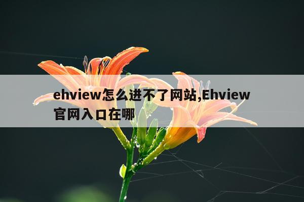 ehview怎么进不了网站,Ehview官网入口在哪