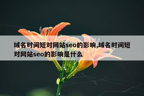 域名时间短对网站seo的影响,域名时间短对网站seo的影响是什么