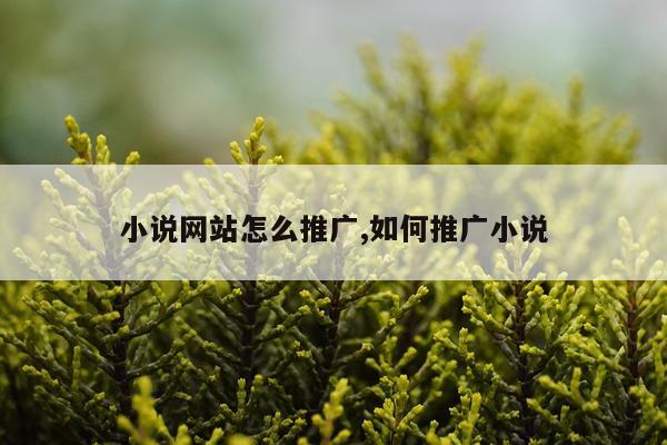 小说网站怎么推广,如何推广小说
