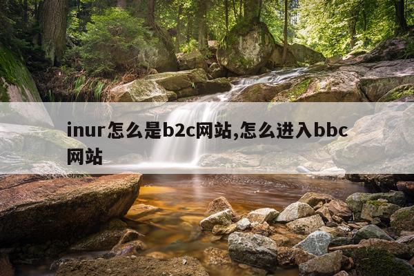 inur怎么是b2c网站,怎么进入bbc网站