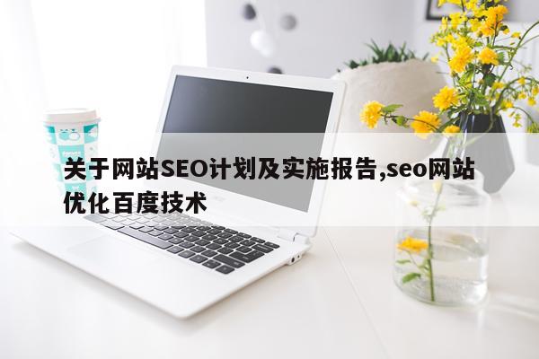 关于网站SEO计划及实施报告,seo网站优化百度技术