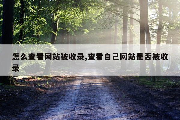 怎么查看网站被收录,查看自己网站是否被收录
