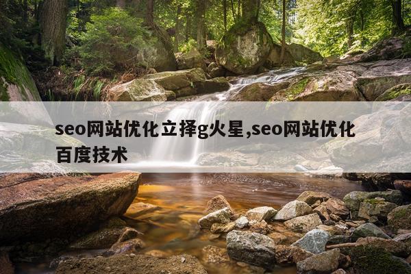 seo网站优化立择g火星,seo网站优化百度技术