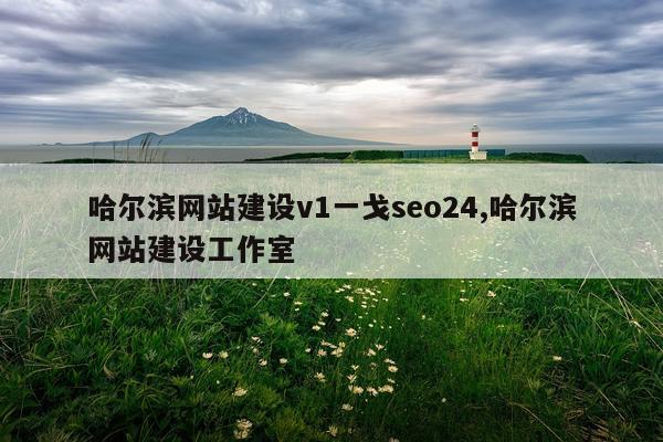 哈尔滨网站建设v1一戈seo24,哈尔滨网站建设工作室