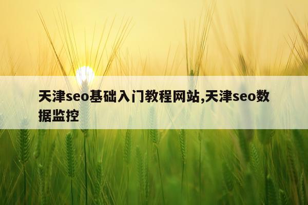 天津seo基础入门教程网站,天津seo数据监控