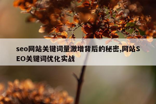 seo网站关键词量激增背后的秘密,网站SEO关键词优化实战
