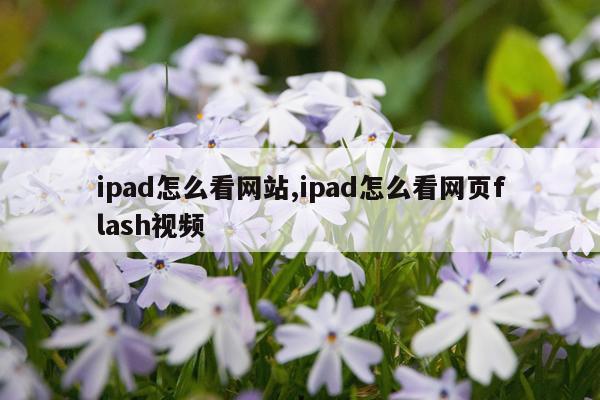 ipad怎么看网站,ipad怎么看网页flash视频
