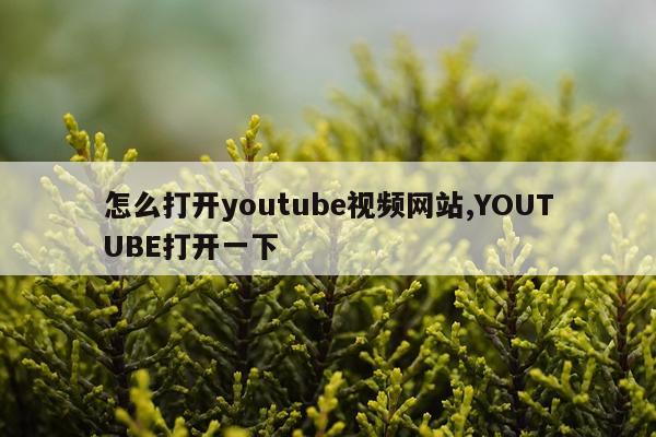 怎么打开youtube视频网站,YOUTUBE打开一下