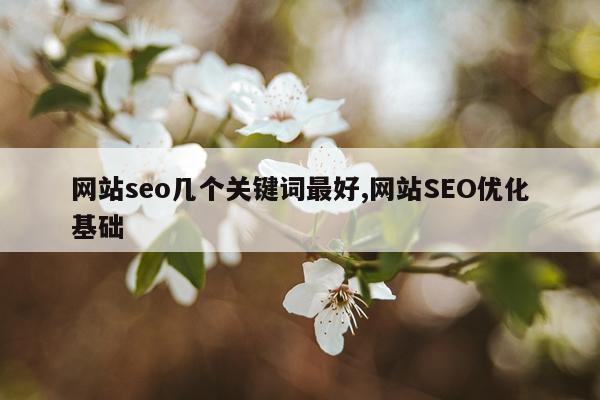 网站seo几个关键词最好,网站SEO优化基础